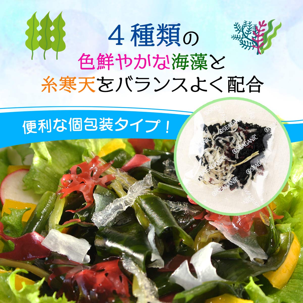 [山忠] 乾物 海藻サラダ 15g(5g×3袋)/サラダ/海藻/糸かんてん/酢の物/海藻スープ/つま/海藻サラダ/ヤマチュウ