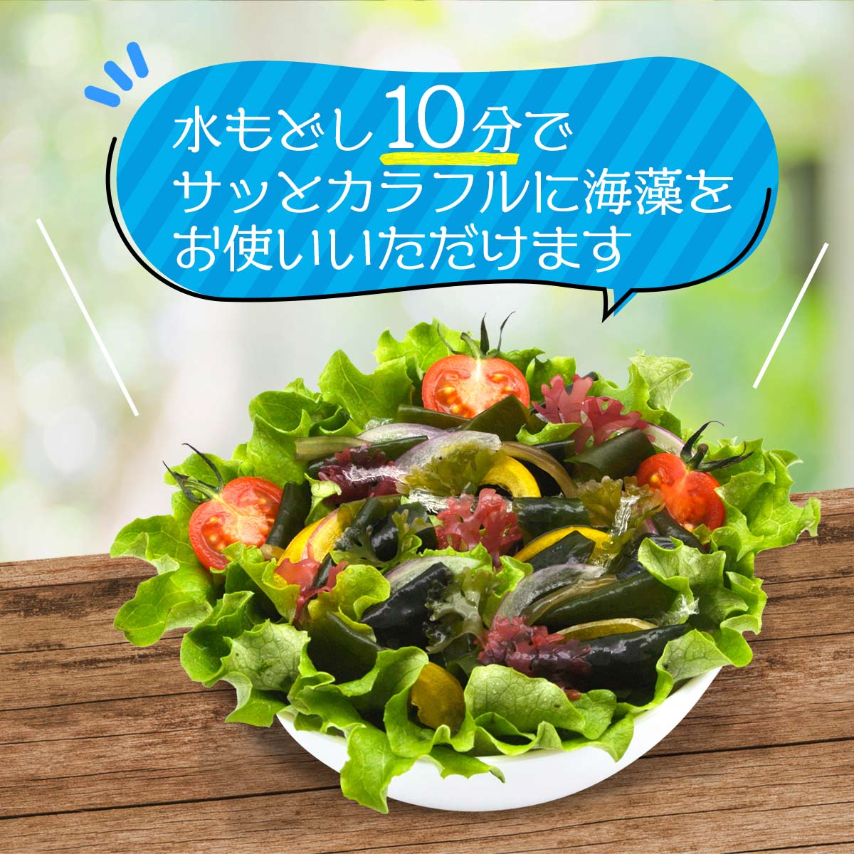 [山忠] 乾物 海藻サラダ 15g(5g×3袋)/サラダ/海藻/糸かんてん/酢の物/海藻スープ/つま/海藻サラダ/ヤマチュウ