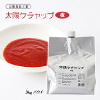 [太陽食品工業] ケチャップ 太陽ケチャップ 極 3kg(パウチ) マイルド りんご入り けちゃっぷ トマトソース 洋食店 洋食屋 大容量 業務用 レストラン