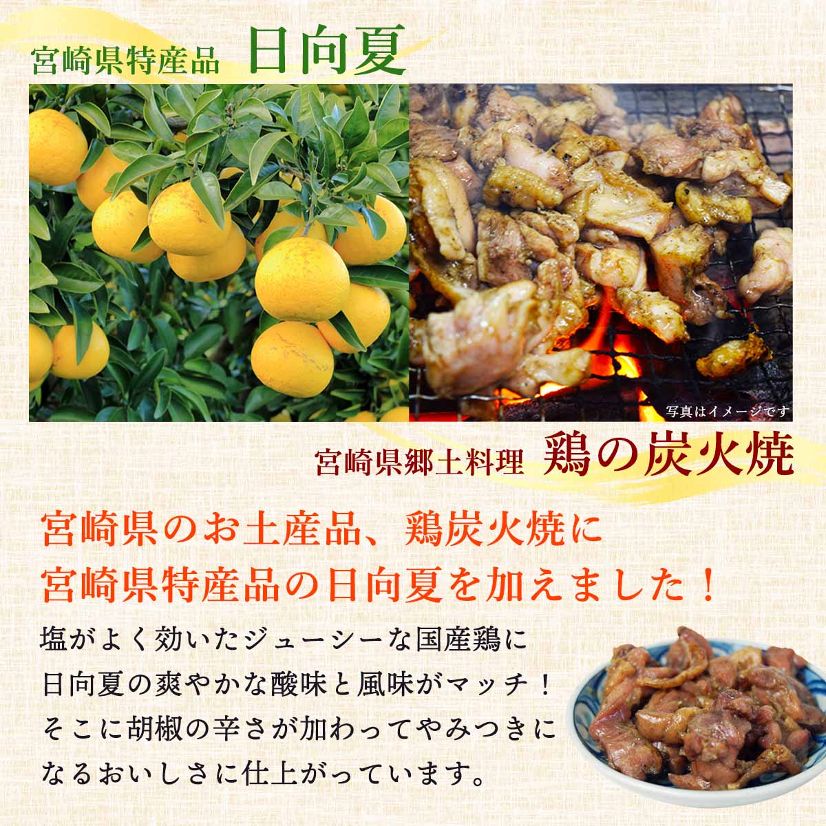 にじデパート楽天市場店のグルメ [ユタカ商会] 宮崎名物 鶏炭火焼 日向夏こしょう味 100g /国産 炭火焼 レトルト 鶏炭火焼 おつまみ 常温 おかず｜アングル2