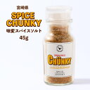 [SPICE CHUNKY] 調味料 味変スパイスソルト 45g /スパイス 調味料 スパイスソルト 宮崎県 スパイスチャンキー 味変 香辛料 瓶入り スープカレー カレー 専門店 カレー専門店 オリジナルブレンド 塩 スパイス調味料 やみつき 卓上タイプ