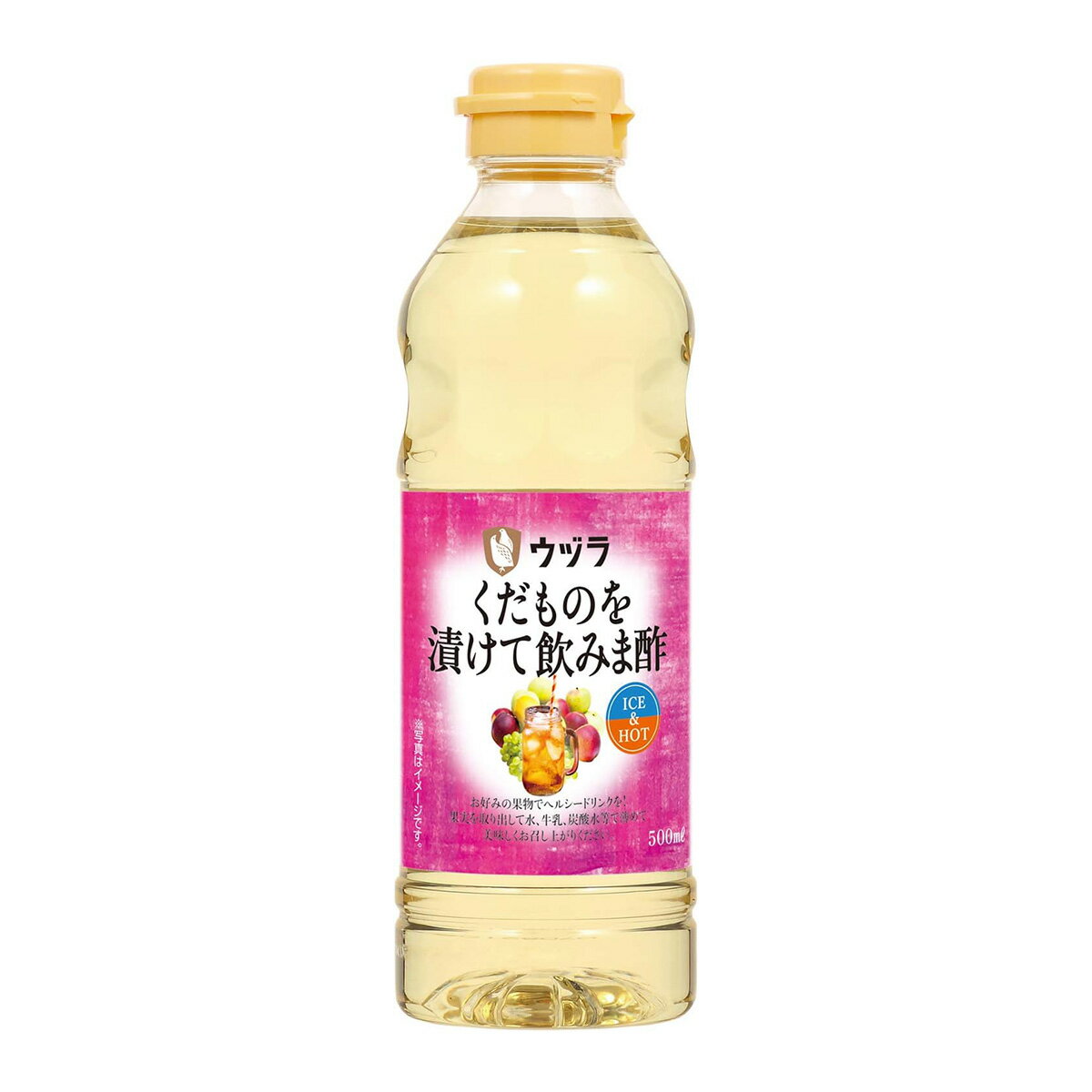 [ť]  ΤҤưߤ޿ 500ml /ե롼Ŀ  ӥͥɥ ʪ Сȥɥ 󤴿 󥴿...
