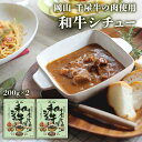 [哲多すずらん食品加工] 岡山 和牛シチュー 200g×2箱セット 岡山 新見 奥備中高原 哲多町 和牛 千屋牛 シチュー 1