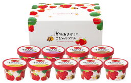 送料無料 アイス 福岡 博多あまおうのこだわりアイス 9個セット あまおうソース&バニラ58ml×3個、あまおう&ショコラ76ml×2個、あまおうクリームチーズ・あまおうシャーベット各78ml×各2個 /博多あまおう イチゴアイス ストロベリーアイス 苺 ショコラ クリームチーズ