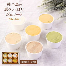 [HOPE] アイスクリーム 種子島の恵みいっぱいジェラート 6個入り 簡易段ボール包装 90ml×6個(リッチミルク・塩キャラメル・とうきびチョコ・抹茶・安納芋・ぽんかん) /ギフト 贈り物 プレゼント アイスクリーム スイーツ デザート シャーベット 冷菓