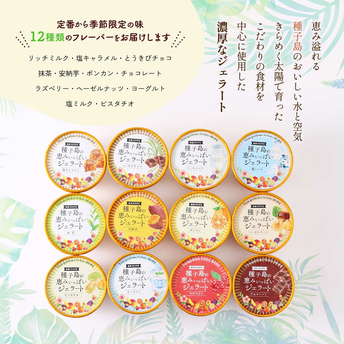 にじデパート楽天市場店の【送料無料】 [HOPE] アイスクリーム 種子島の恵みいっぱいジェラート 12個入り ギフトボックス リッチミルク・塩キャラメル・とうきびチョコ・抹茶・安納芋・ぽんかん・チョコレート・ラズベリー・ヘーゼルナッツ｜アングル2