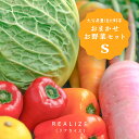 季節の野菜セット 5~6種 送料込1980円