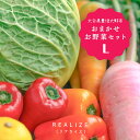 季節の野菜セット 9~10種 送料込3980円 大分県 人気 新鮮 [REALIZE] 大分県豊後大 ...