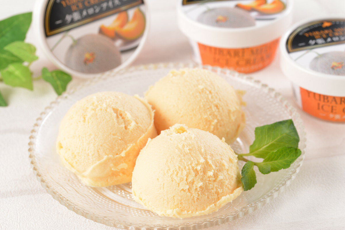 送料無料 アイス 北海道 夕張メロンアイス 65ml×13個セット /アイスクリーム 夕張メロン ピューレ 生乳 国産 北海道十勝産 デザート お取り寄せスイーツ 女子会 アイスパーティー