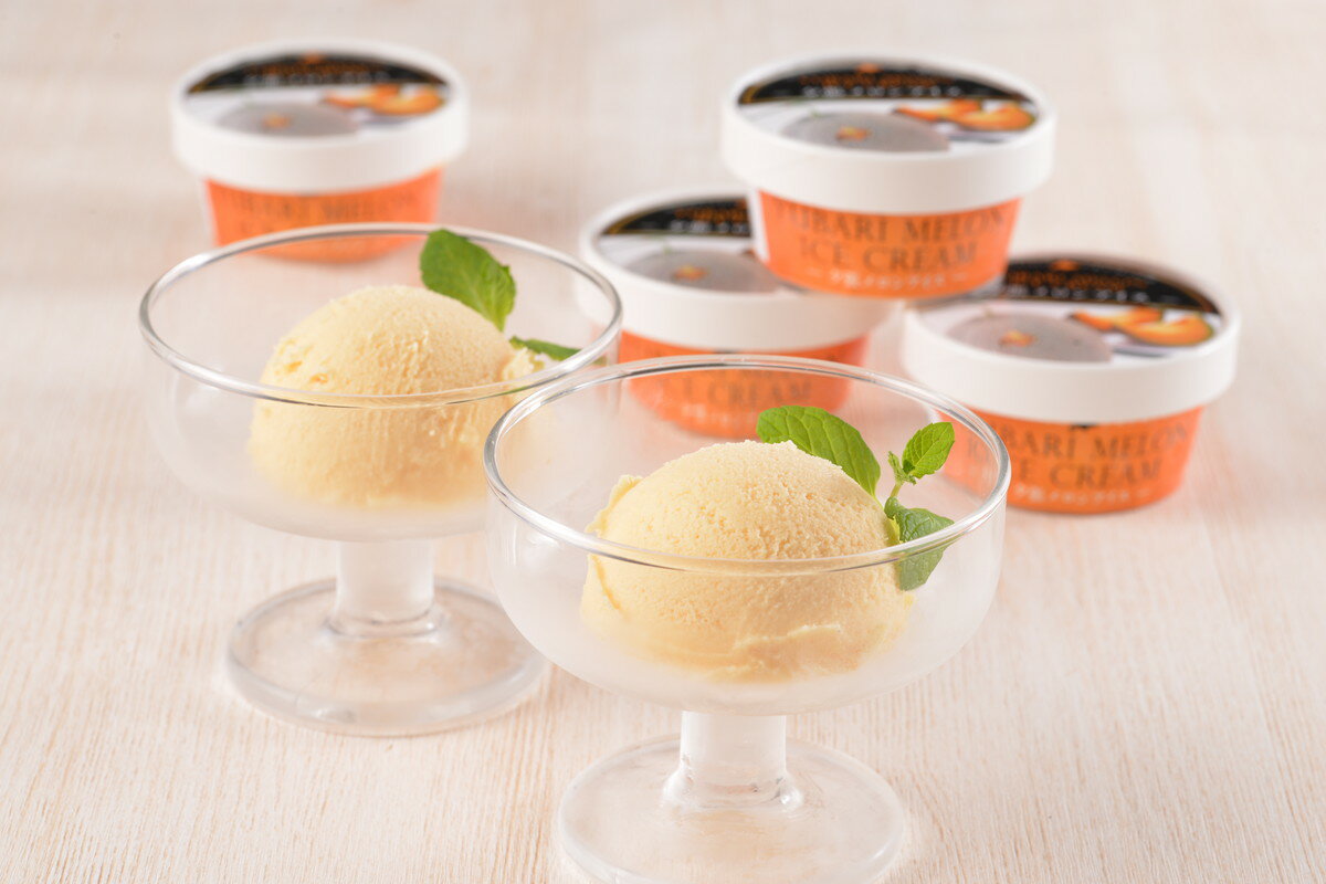 送料無料 アイス 北海道 夕張メロンアイス 65ml×13個セット /アイスクリーム 夕張メロン ピューレ 生乳 国産 北海道十勝産 デザート お取り寄せスイーツ 女子会 アイスパーティー