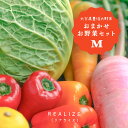 季節の野菜セット 7～8種 送料込2980円 大分県 人気 新鮮 [REALIZE] 大分県豊後大野 ...