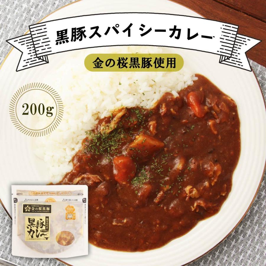 【スーパーセール価格】[エーエフ企画] カレー 黒豚スパイシ