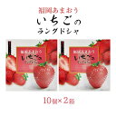  福岡あまおういちごのラングドシャ 10個×2 /福岡 あまおう いちご ラング