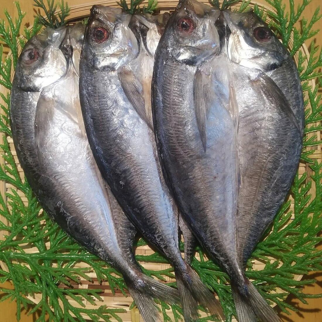 長崎県産 ひもの 魚 お取り寄せ グルメ ギフト 山道水産 真あじ汐干し(有頭)120g×3枚