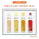 [ヤマカ醤油] 酢 山口県産 果実 使用 フルーツビネガー 詰め合わせ セット 100ml×4種 /ギフト/贈り物 お礼の品 母の日 果実酢 フルーツ 健康 ダイエット お酢 デトックス 美容 美肌 アソート 父の日 敬老の日