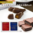 いわきチョコレート チョコレート めひかりシリーズ小箱2個入り 紅玉林檎チョコ 5個入 めひかり塩チョコ 4個入 チョコ 洋菓子 ジュレ おいしい 甘い 濃厚 カカオ 福島県 果汁 林檎ジュレ フレッシュ クリーミー