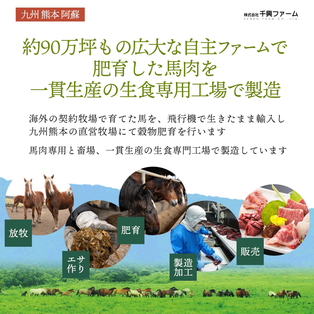 サンプル画像2