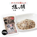  調味料 ガーリック入り塩こしょう 美味 塩っ胡 袋 120g /塩胡椒 ガーリックペッパー ガーリック 天日塩 調味料 九州 福岡県 玄界灘 野次馬 野菜炒め 焼肉 から揚げ バーベキュー サラダ 下味付け 福津の極み