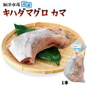 [新洋水産] 食品 キハダマグロ(カマ) 1本/カマ/まぐろ...