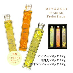 [創未家] シロップ 宮崎ハンドメイドシロップ箱入 3本入(マンゴー250g・日向夏200ml・ゆずジンジャー250g) /マンゴー/ゆず/ジンジャー/ショウガ/生姜/日向夏/シロップ/自然派/炭酸水/割材/爽やか/希釈用