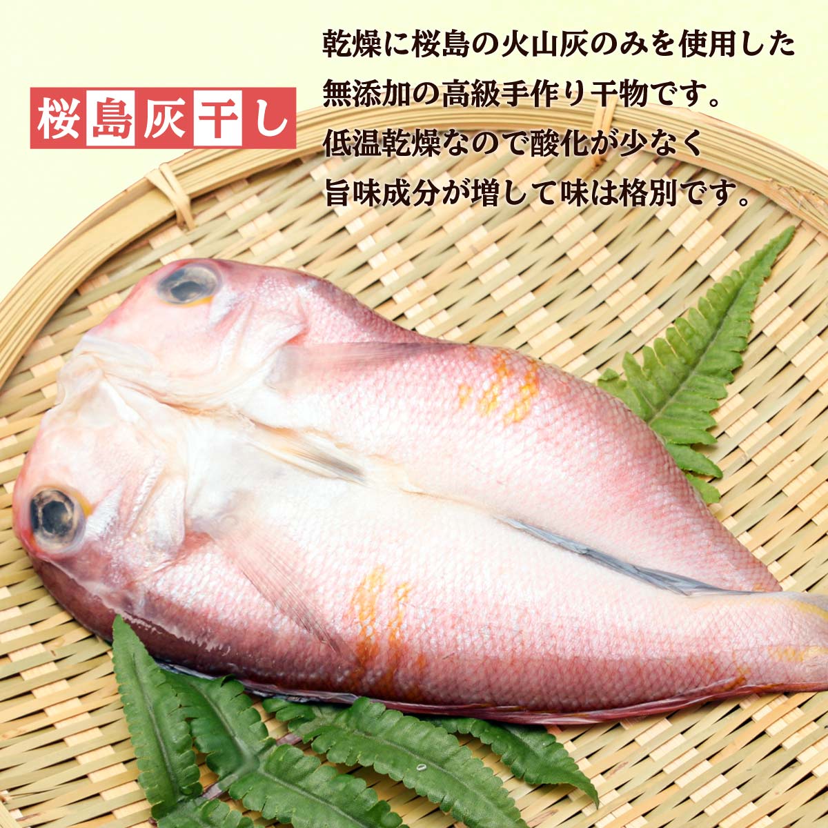 石光商事）殻付きボイルムール貝　500g　石光商事　水産物　貝類　魚介類食材　【冷凍食品】【業務用食材】【10800円以上で送料無料】
