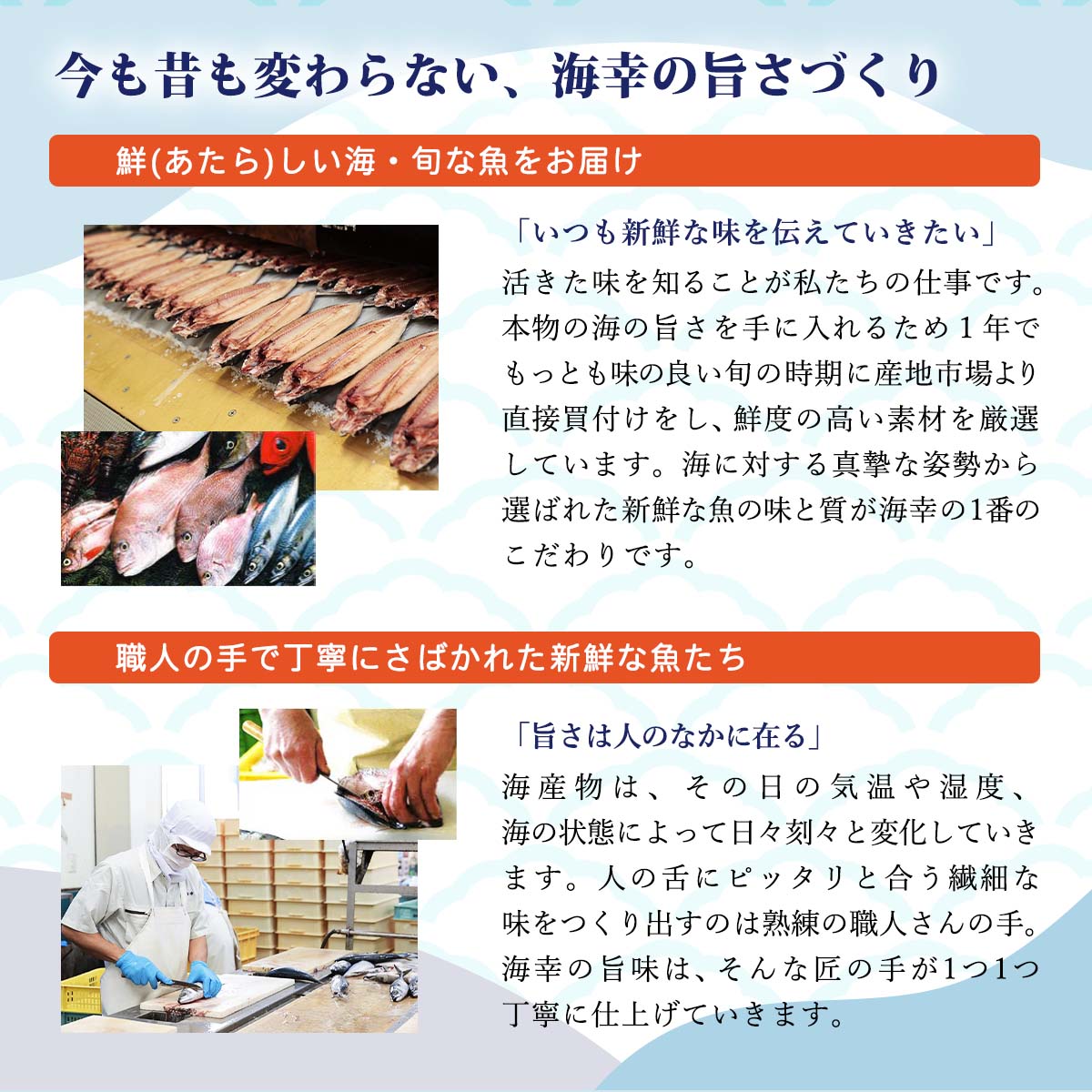 送料無料 [海幸] 乾物 カットわかめ 15g×2袋セット /みそ汁/具/吸い物/乾燥/ワカメ...