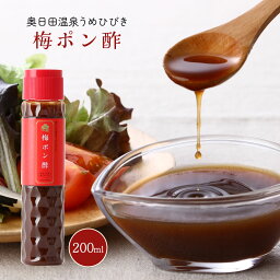 [おおやま夢工房] ポン酢 梅ポン酢 200ml ぽん酢 梅ぽん酢 風味 さっぱり 調味料 万能調味料 まろやか 鍋 おひたし 餃子 お土産 大分 日田醤油