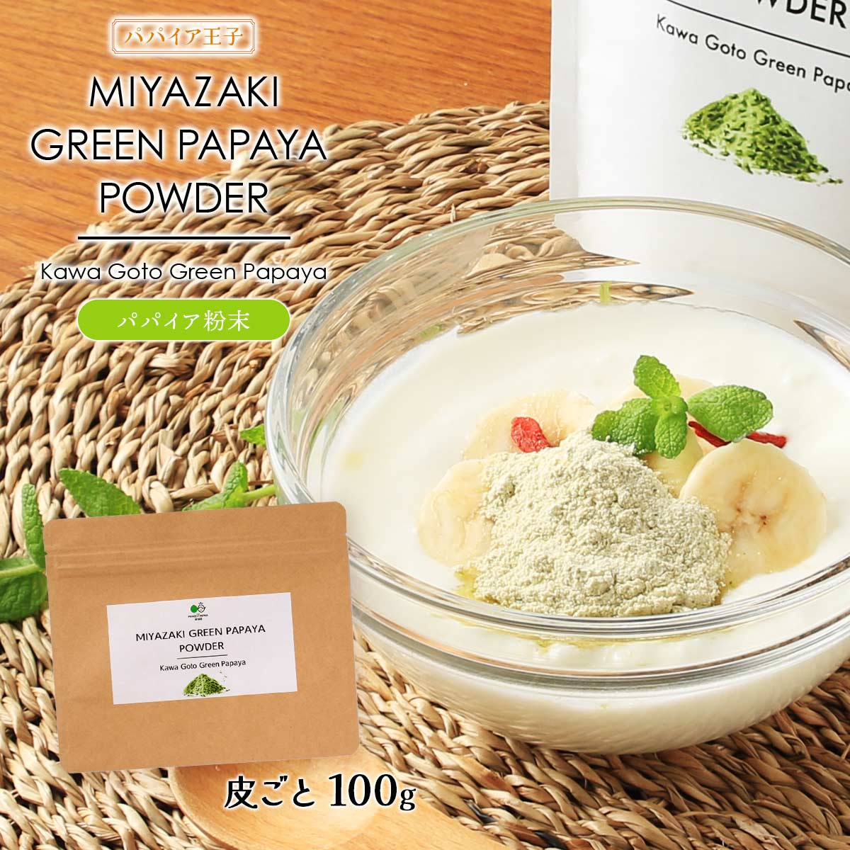 【スーパーセール価格】[パパイア王子] パパイア粉末 MIYAZAKI GREEN PAPAYA POWDER Kawa Goto Green Papaya 100g 青パパイア パウダー スーパーフード 粉 酵素 腸活