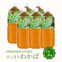 [宮崎県農協果汁(サンA)] 緑茶 【ケース販売】 すっきりわかば 2L×6本 /宮崎県 緑茶 お茶 ペットボトル まとめ買い 箱買い ケース買い 備蓄