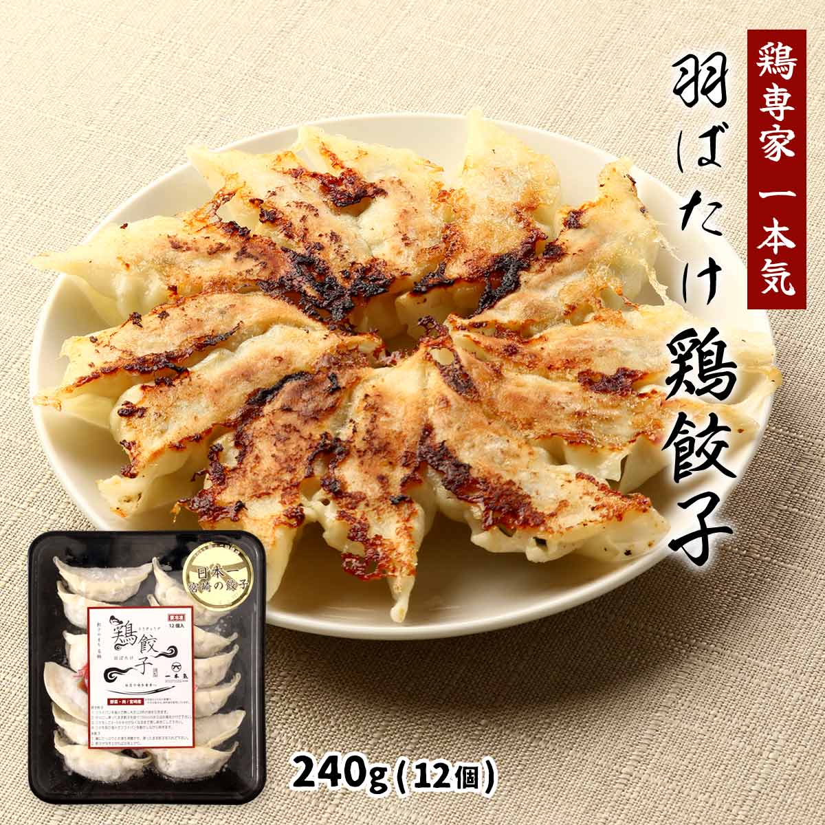 全国お取り寄せグルメ宮崎食品全体No.512