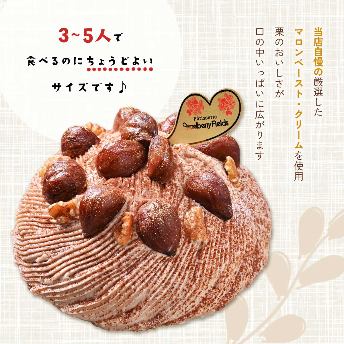 [StrawberryFields] ������ �������֥�� 5��15cm�� 1��(450g) /���ȥ��٥꡼�ե����륺 �������� �βۻ� ���ե� �ץ쥼��� �Ҷ� ��� ���鷪 ���� ���� ����� ������ ������ ���֤�� �ޥ��� ��