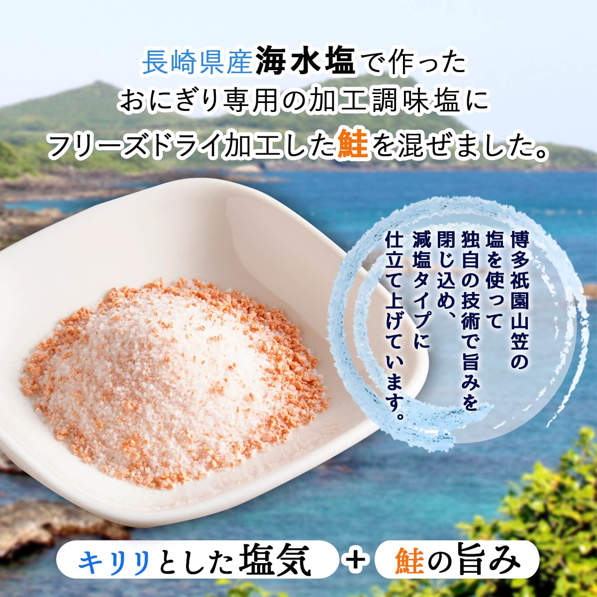 【楽天スーパーセール 10%オフ】 塩 [大盛食品] 博多祇園山笠 おにぎりの塩 鮭 100g /鮭 シャケ おにぎり さけおにぎり 調味塩 天ぷら塩 サラダ 博多祇園山笠の塩 おみやげ 博多 お弁当 鮭味 nipponmarche-10005980 にじデパート楽天市場店 サンプル画像2