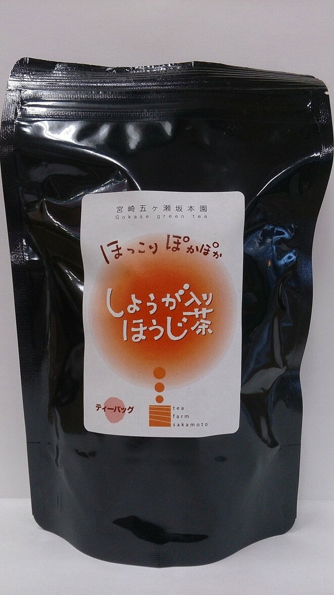 宮崎県 茶葉 生姜 お取り寄せ グルメ ギフト 坂本園 しょうがほうじ茶ティーパック 期間限定商品10月~2月 4g×25p