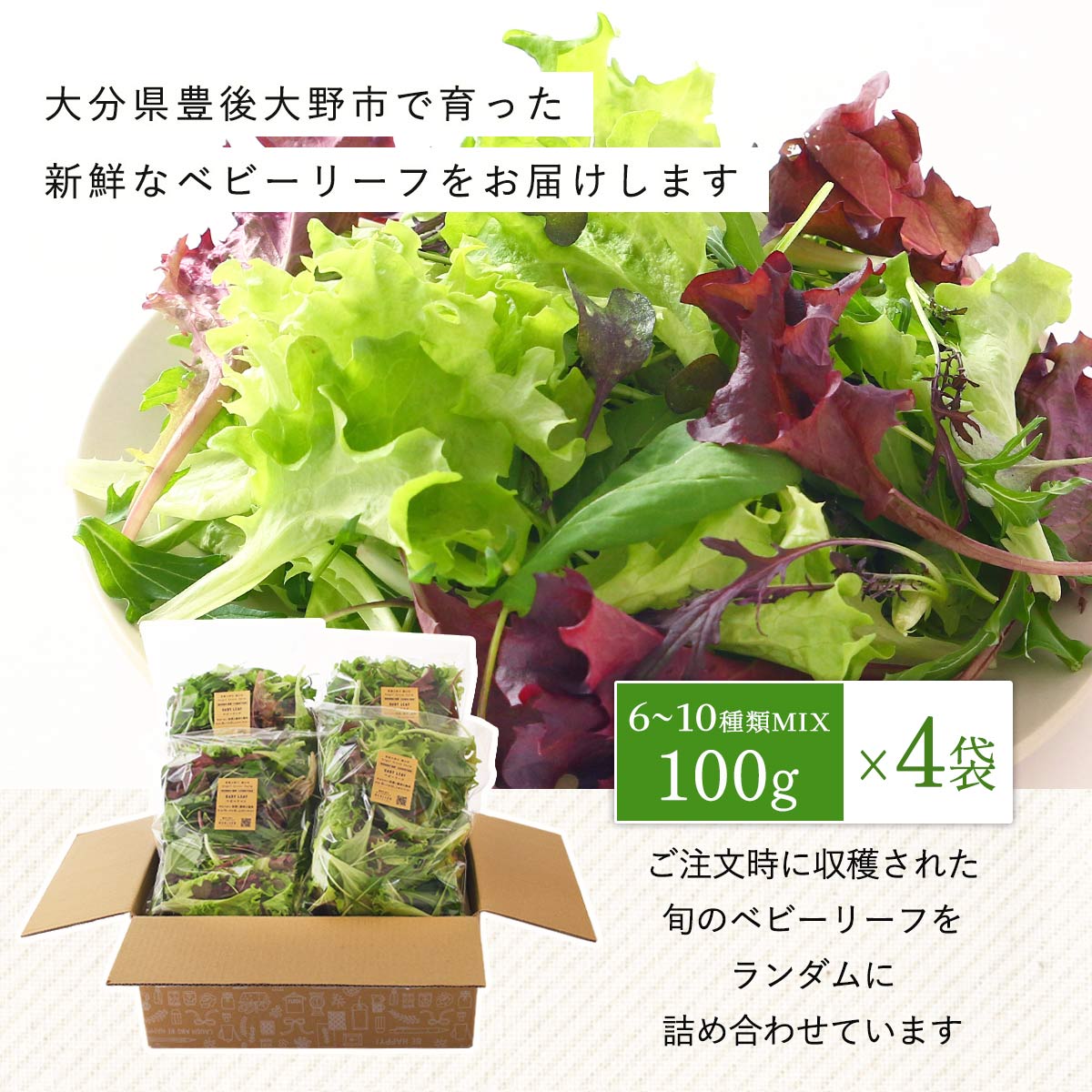 ベビーリーフ 400g 送料無料 [Realize] ベビーリーフ 100g(6〜10種類MIX)×4袋入り /大分県産 国産 ベビーリーフ 九州 産地直送 新鮮 採れたて 冷蔵便 サラダ カルパッチョ 新鮮 葉っぱの赤ちゃん 大分県 豊後大野市 冷蔵品 ベビーリーフ農園 大分のごちそう畑
