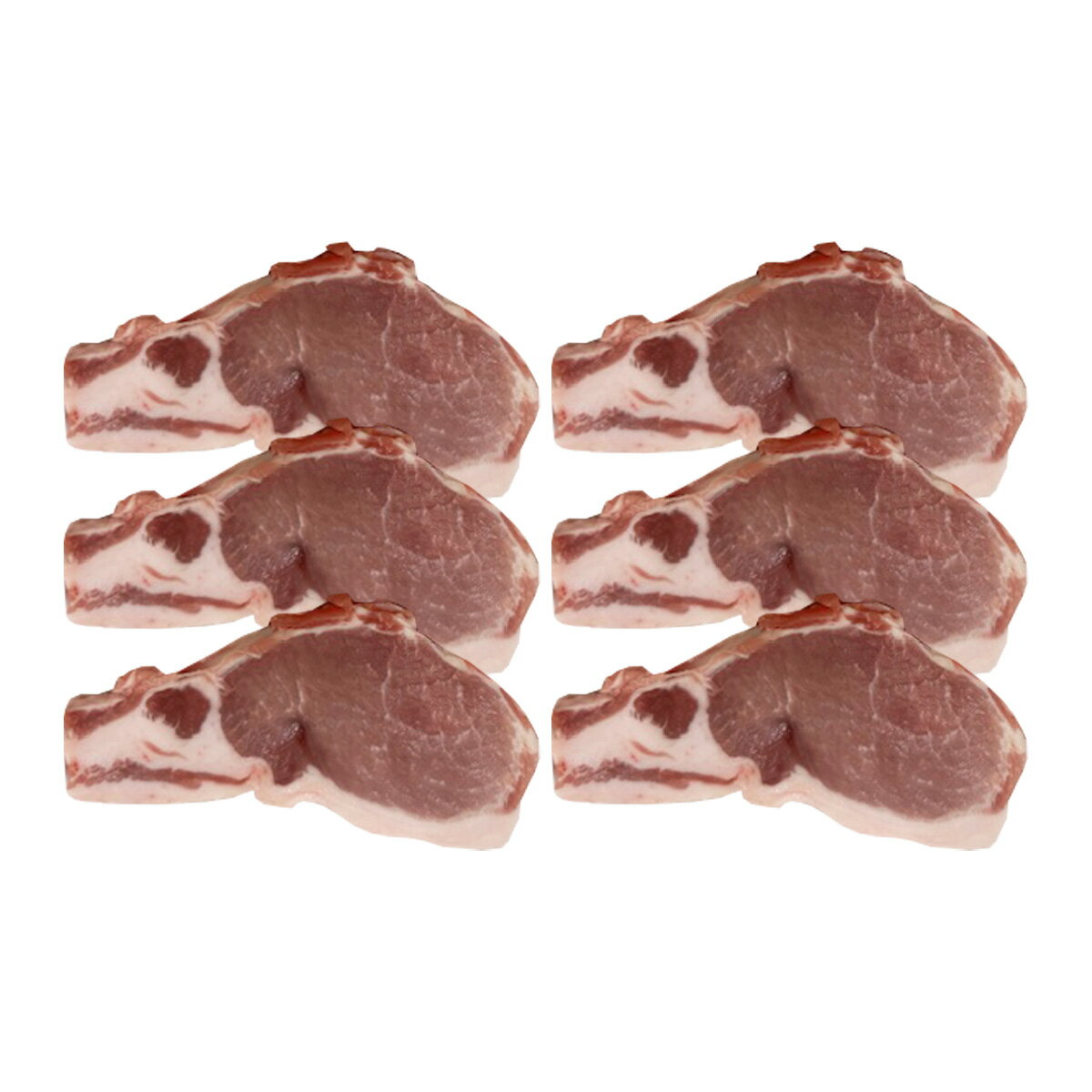 [米沢食肉公社] 豚肉 天元豚ロースとんかつ用 100g×6枚 /豚肉 山形 国産 冷凍 肉 精肉 冷凍食品