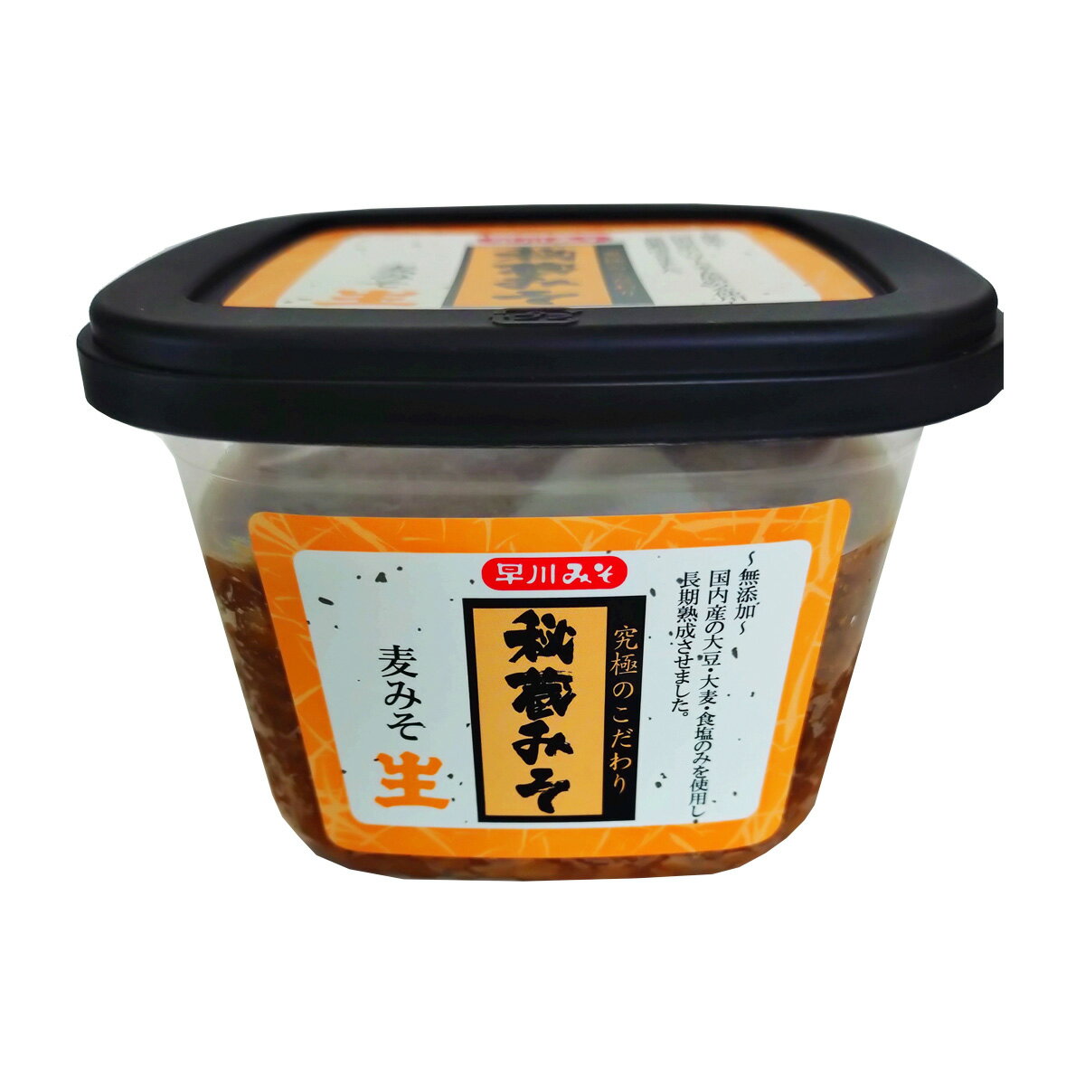 麦みそ [早川みそ] 秘蔵みそ 400g /秘蔵味噌 国産 宮崎県 麦味噌 無添加みそ 味噌汁 みそ汁 早川しょう..