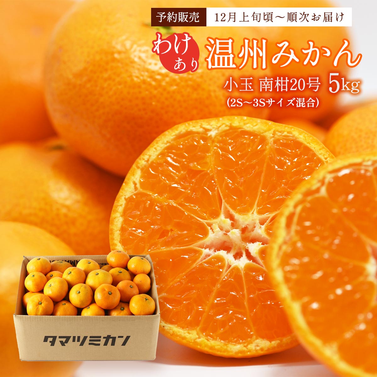 ɲߤ 5kg [Ŵ̶] ߤ (20)  5kg 2S3S ȯ:12ܺ/ե롼 ...