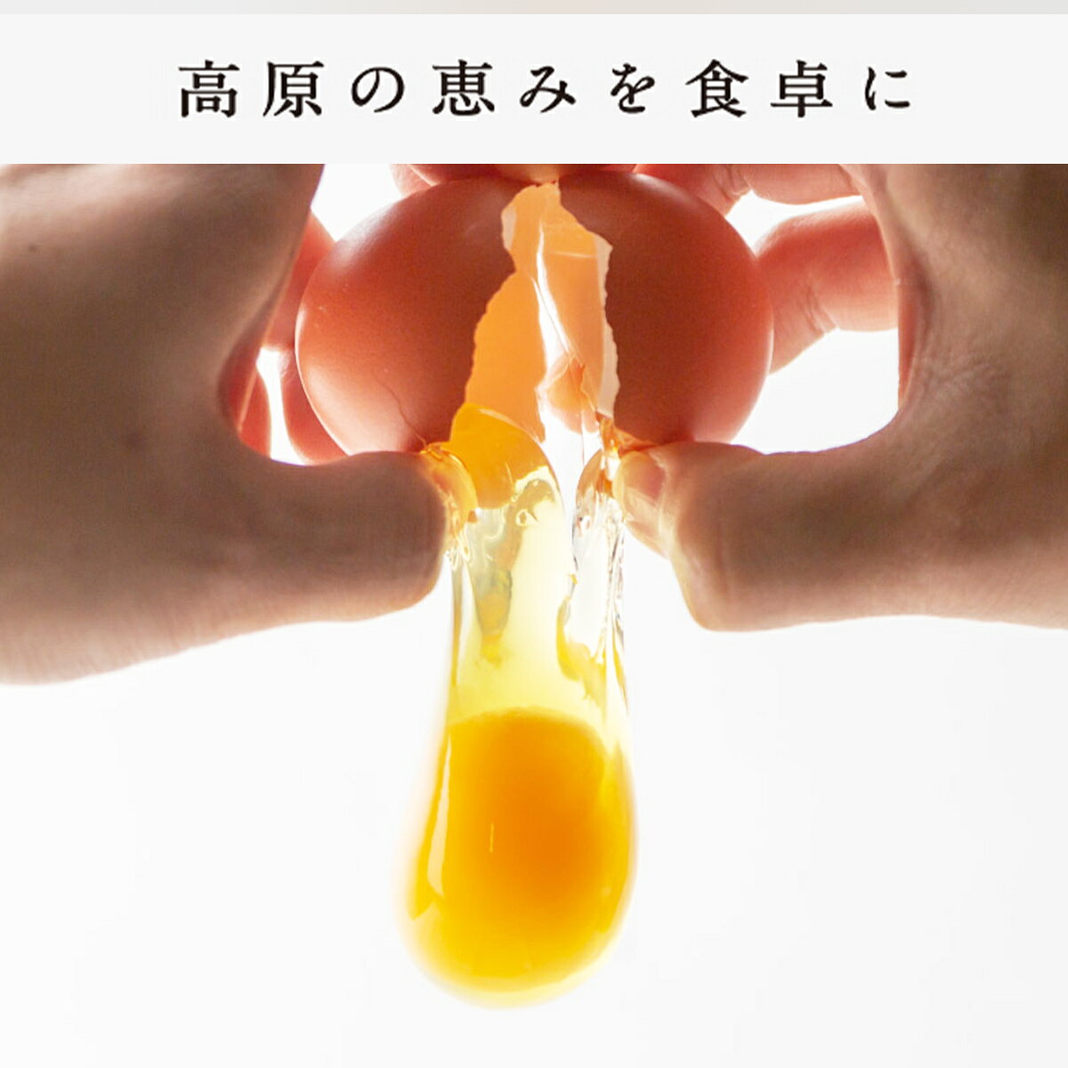 にじデパート楽天市場店の[グリーンファーム久住] たまご 風のたまご Basic 10個入り /国産 九州 大分 久住高原 とりtoたまご たまご 卵 風のたまご ブランド卵 濃厚 甘み 旨み 新鮮 お取り寄せ 生臭くない 解放型ケージ鶏舎｜アングル2