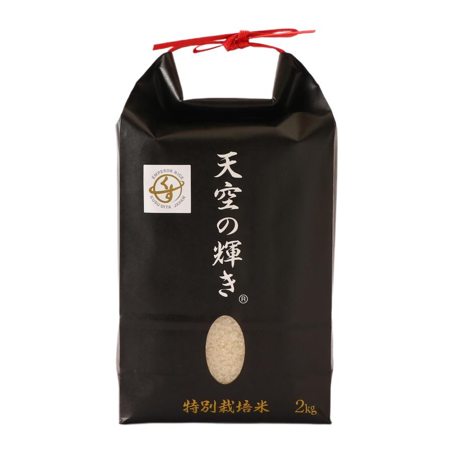 令和7年産 くす天空の輝き 2kg [一般社団法人くすここのえ産直ネット]/お米 白米 国産 国産米 特別栽培米 一等米 大粒 真空パック ギフト お中元 お歳暮 手土産 御礼品 贈答用 安心安全 低たんぱく