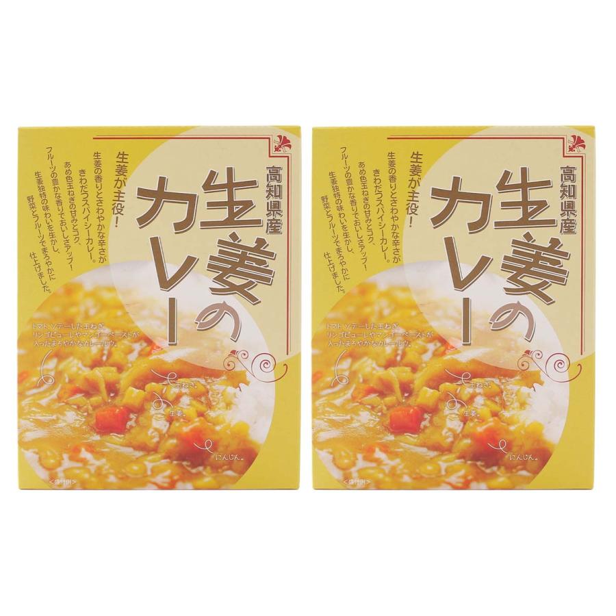 【商品特徴】生姜の香りとさわやかな辛さがきわだつスパイシーカレーです。 あめ色玉ねぎの甘みとコク、フルーツの豊かな香りでおいしさアップ！ 生姜独特の味わいをいかし、野菜とフルーツでまろやかに仕上げました。 商品説明メーカー所在地 原材料 チキンブイヨン(国内製造)、生姜、玉ねぎ、ソテーオニオン、トマト・ピューレづけ、ラード、小麦粉、人参、食用なたね油、リンゴピューレ、砂糖、食塩、マンゴペースト、還元水あめ、カレー粉、ウスターソース、にんにくペースト、コーンスターチ、ポークエキス、チキンパウダー、ビーフエキス調味料、酵母エキス、香辛料/増粘剤(加工でん粉)、調味料(アミノ酸等)、pH調整剤、酸味料、カラメル色素、香料、(一部に小麦・牛肉・大豆・鶏肉・豚肉・りんごを含む) サイズ 180×137×50(mm) 原産国 日本 内容量 200g×2 アレルギー表示 小麦、牛肉、大豆、鶏肉、豚肉、りんご 温度帯 常温 メーカー名 高知県特産品販売株式会社高知県高知市新田町14-14