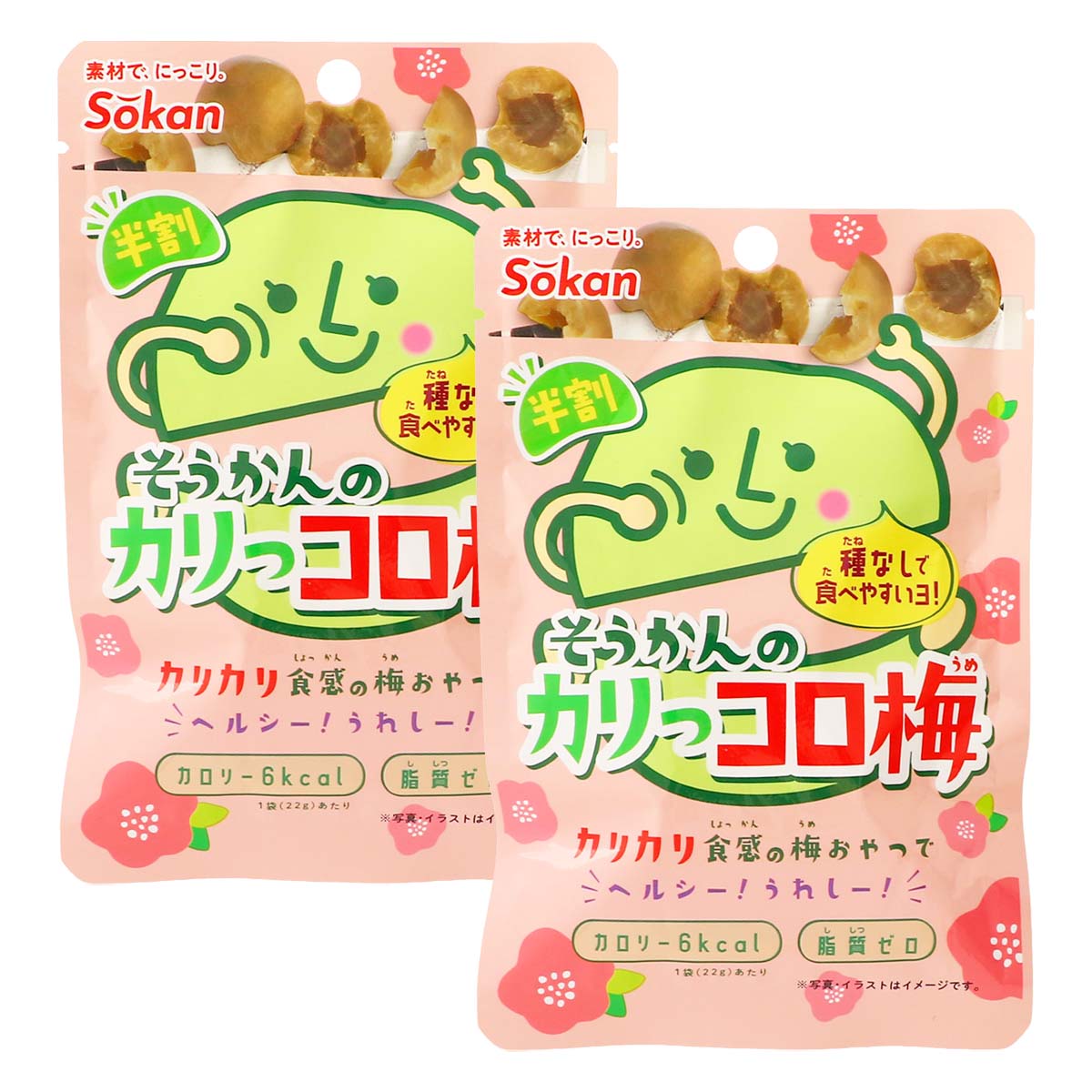 【商品特徴】遊んだ後にも、運動後の塩分チャージにもぴったり。 カリッと爽やか、種なしで食べやすいカリカリ梅です。 噛むたびに広がる甘酸っぱくて優しい味わい。 種なしだから小さなお子さまでも食べやすい商品です。 スポーツ後の手軽な塩分チャージに、外遊びやレジャーのお供に。 仕事や勉強の合間のリフレッシュにも最適。 バッグに入れても邪魔にならないサイズ感で、外出先でも手軽に楽しめる、便利な梅おやつです。 商品説明メーカー所在地 原材料 塩蔵梅(梅(中国産)、食塩)、漬け原材料(食塩、梅酢、醸造酢、砂糖類(ぶどう糖果糖液糖、水飴、砂糖)、イソマルトオリゴ糖シロップ、はちみつ)/甘味料(ソルビトール、ステビア)、酸味料、調味料(アミノ酸等)、乳酸カルシウム、香料、ビタミンB1 サイズ 159×105×20(mm) 原産国 中国 内容量 22g×2 アレルギー表示 なし 温度帯 常温 メーカー名 株式会社壮関栃木県矢板市こぶし台4番地1