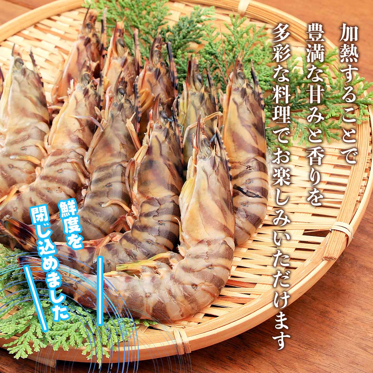 [隼人車えび] 海鮮 冷凍車海老30型サイズ（加熱用） 1,000g(35尾前後) 車海老 車エビ くるまえび 冷凍 鹿児島県産 お歳暮 ギフト プレゼント エビフライ 天ぷら 海老料理