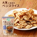  大豆加工品 大豆と玄米のベジスライス 60g /大豆ミート ベジタリアンミート フェイクミート 健康志向 高たんぱく 低脂肪 大豆肉 お肉 コレステロールゼロ 食生活 PBF 環境問題 もどき料理 大豆たんぱく 薄肉 保存食　代替品