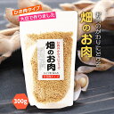 [信州物産] 大豆肉 畑のお肉 ひき肉タイプ 300g /おにくのかわり 代替肉 大豆挽肉 大豆肉 ヘルシー ベジタリアン 健康 大豆のお肉 ヴィーガン 野菜食