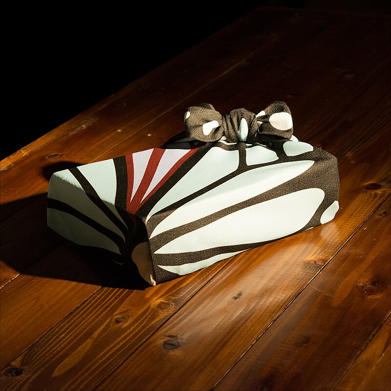 Ķ������Ϥ�ߤʤ��� ��Ǭ�ʥ���󥼥�70cm�������� ī������ �쥤�󥰥å� �����Хå� �ɺ� ��ǯ��ǰ�� �뺧��������ʪ �࿦�ˤ�