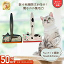 【スーパーセール 3/8 12時間限定 半額】エチケットブラシ ちょこっと掃除 猫 の 毛 掃除 ブラシ 2個セット ほこり取り ホコリ カーペット ペット用品 繰り返し使える キャットタワー 掃除 抜け毛取り カーシート 寝床 小さい 可愛い 猫好き プレゼント 雑貨 猫グッズ N50NE