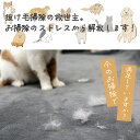 【送料無料】ぱくぱくローラー 柴犬 Kotaro スペア不要 繰り返し使える 抜け毛取り ローラー 犬 換毛期 お掃除ローラー ほこり取り ブラシ 抜け毛掃除 髪の毛 ペット 毛 取り クリーナー カーペット の 毛 取り ラグ 布団 寝床 パクパク 掃除用品 ランキング 入賞 N76KT 3