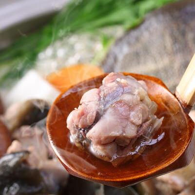 すっぽん かけ流しの天然温泉で育てた柔らかさが自慢 耶馬溪鍋用すっぽん切り身（冷凍） 耶馬溪すっぽん