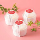 ■エントリーでポイント5倍■ チーズスフレ 雪どけフロマージュ デザート お取り寄せスイーツ 洋菓子 高級 日本 チーズケーキ 有限会社高知アイス 高知県