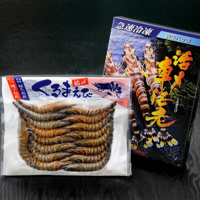 通常市場に流通していない、殻ごと食べられる大変希少な一品です！ソフトシェル車海老 車海老日本株式会社 ...